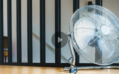 Canicule et travail : obligations de l’employeur, droits des salariés et mesures de prévention