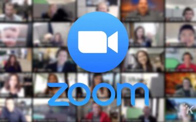 Licencier sur Zoom, est-ce possible en France ?